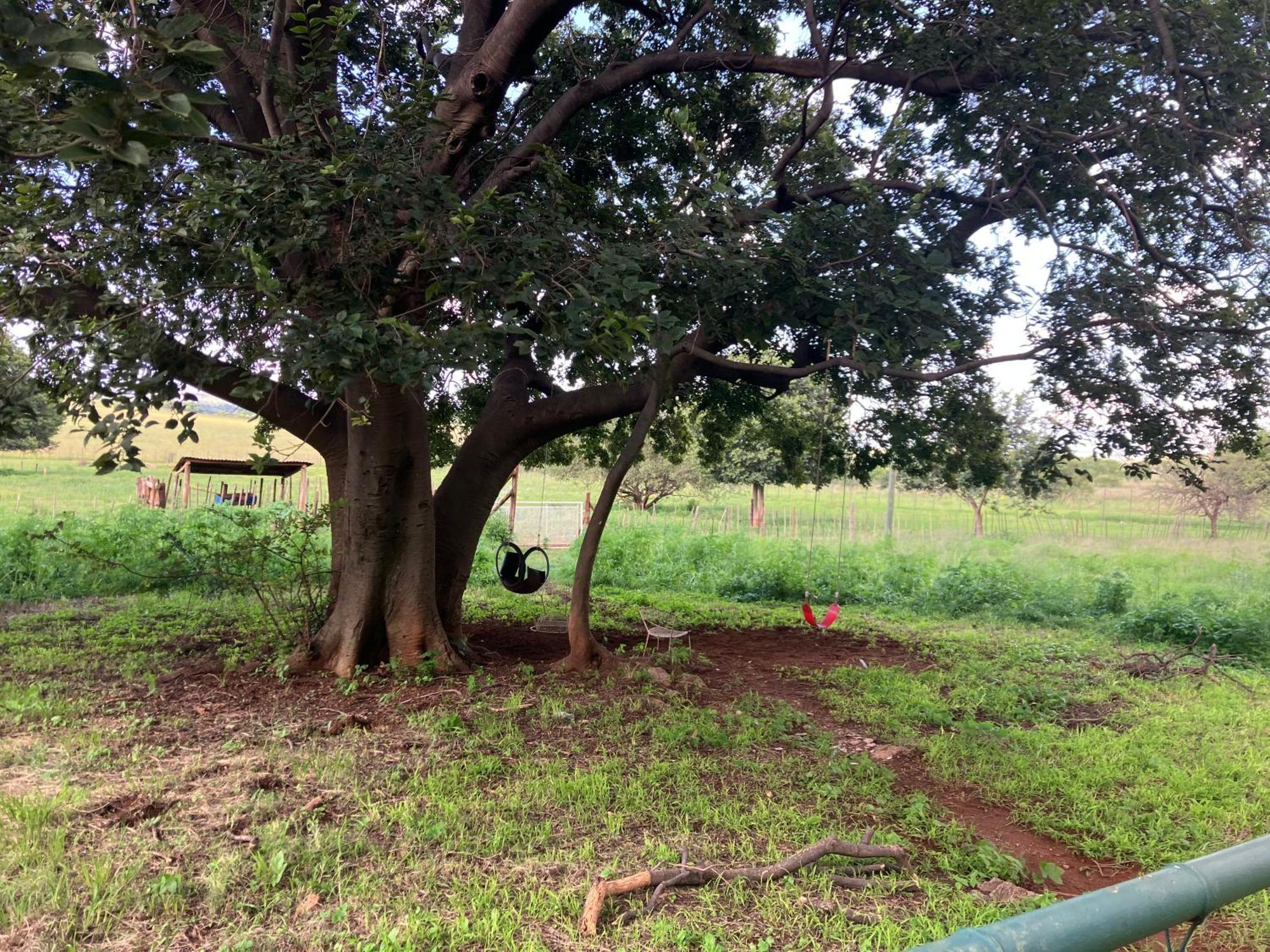 Cave View Self Catering * Krugersdorp